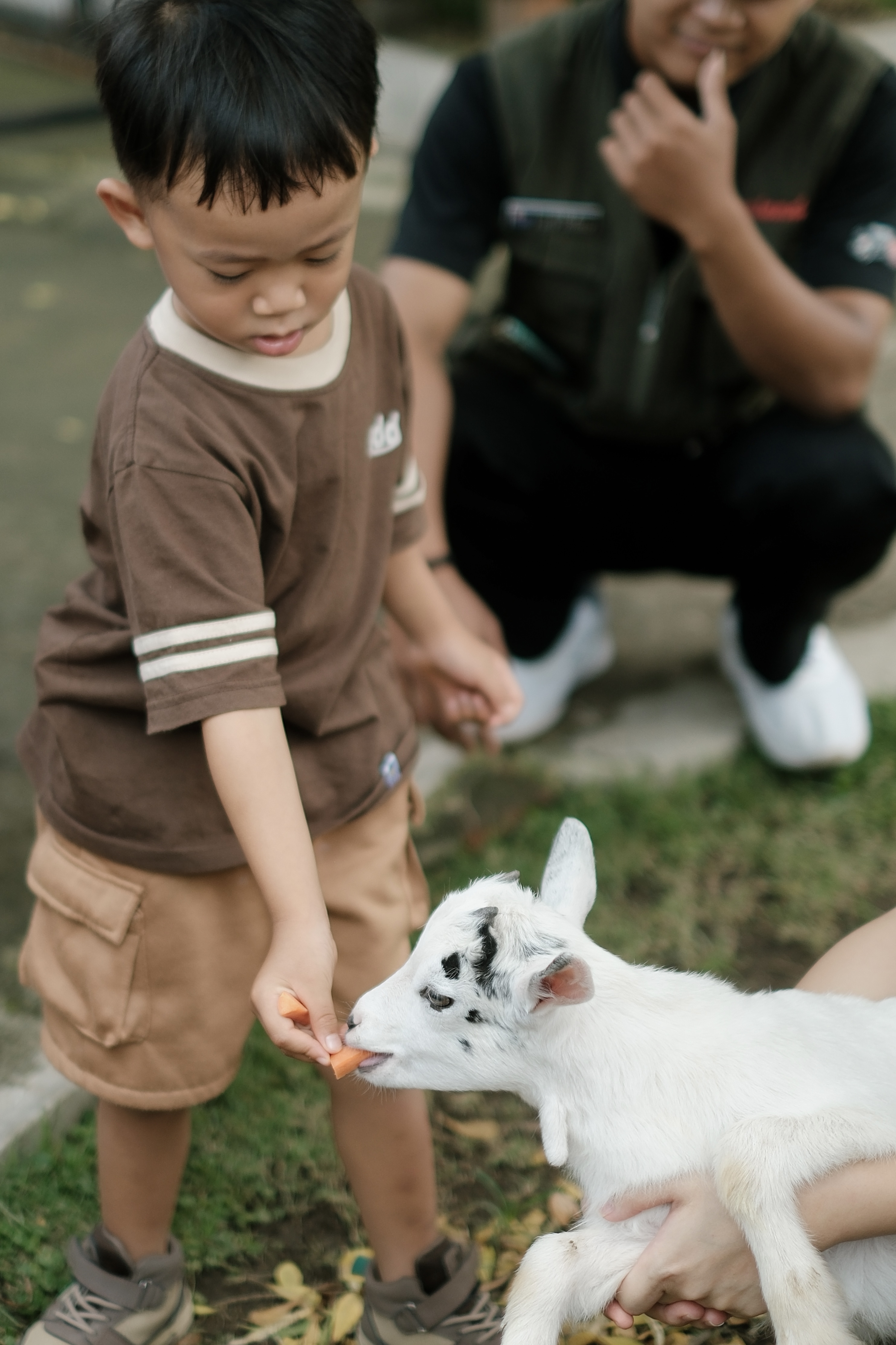 Anak memberi makan kambing di Piataland